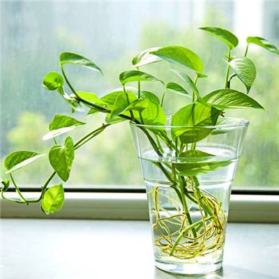 风云体育app下载安装苹果截图